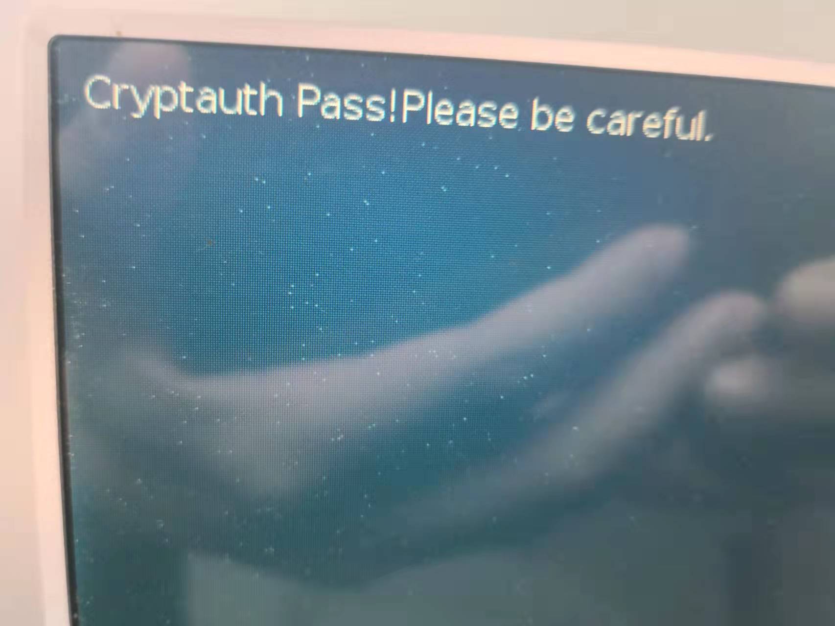 正常优盘启动出现界面20%