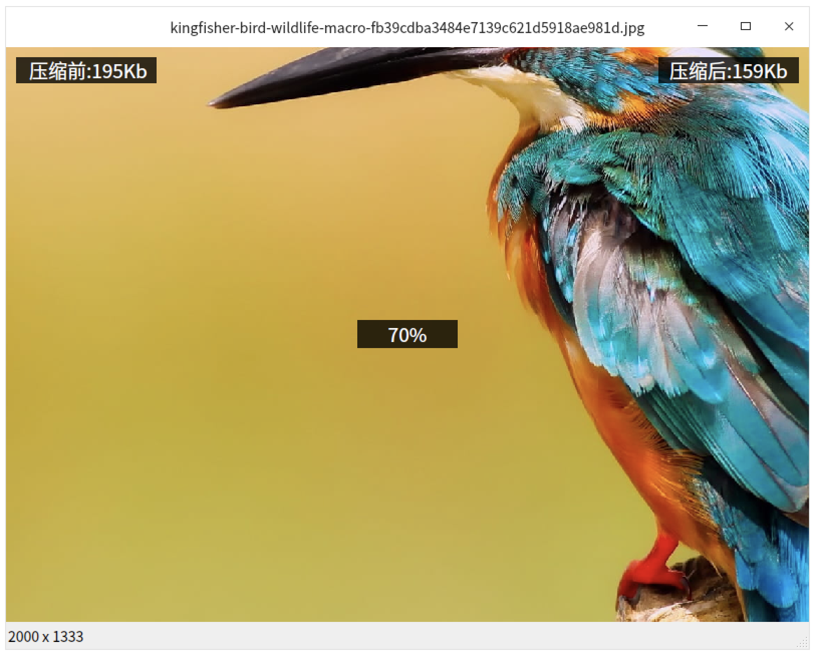 截屏2022-08-12 09.50.19.png