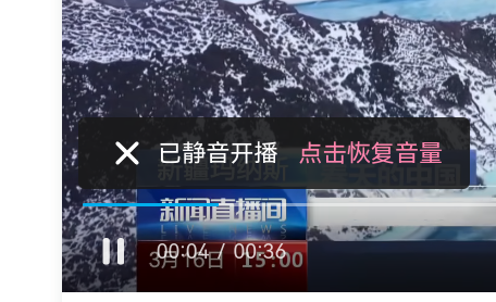 视频播放静音问题.png