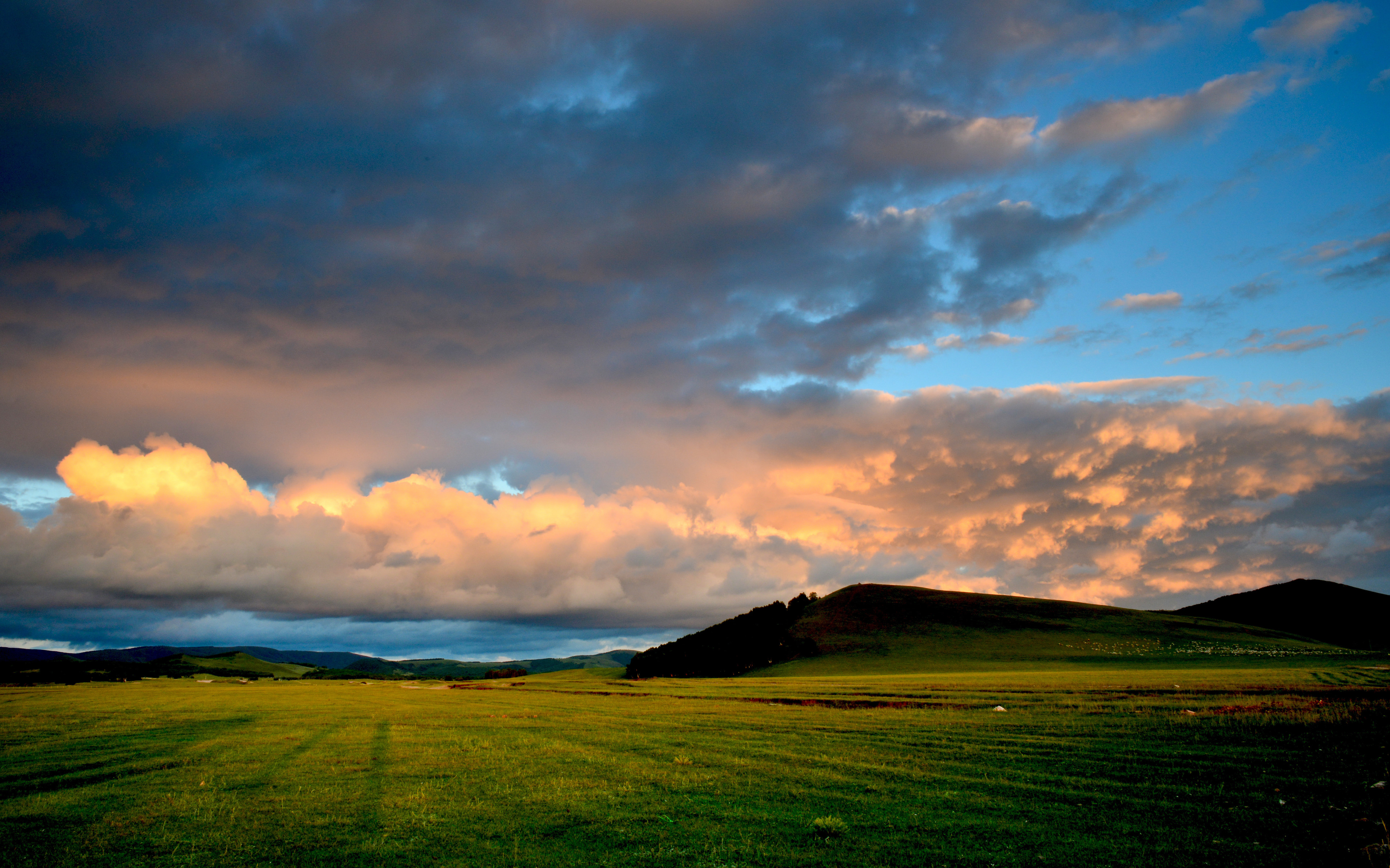Grassland_Scenery_by_Shi_Yuejun.jpg