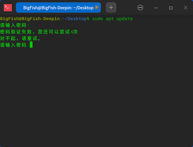 截图_deepin-terminal_20230611123559.png