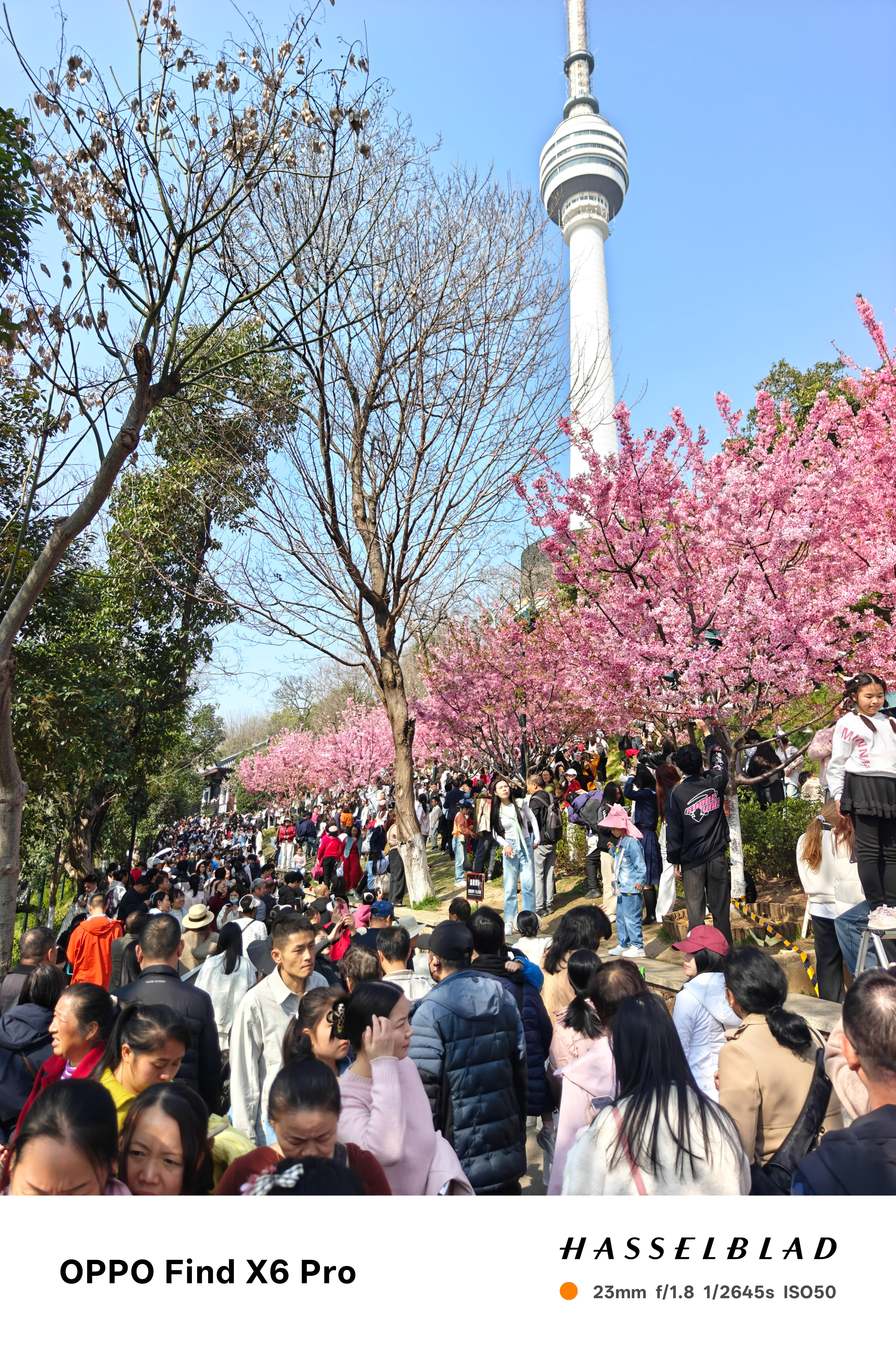 IMG20260314100417 (2).jpg