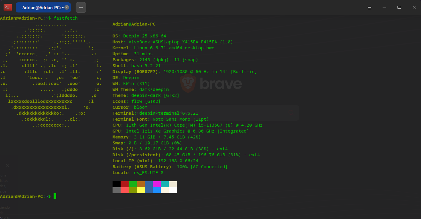 Captura de pantalla_deepin-terminal_20260323142947.png